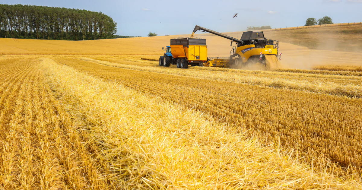 Bois-de-Haye. « Leurs champs du cœur », le vrai coût de notre alimentation