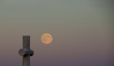 retrouvez les clichés de la “super Lune du castor” vue dans le ciel de Côte-d'Or