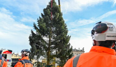 Nancy. Le grand sapin installé place Stanislas, place aux décorations en attendant les fêtes