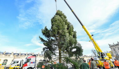Nancy. Le sapin de la place Stanislas retrouve de la hauteur après la version « naine » de 2024