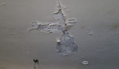 rats, cafards, humidité... La détresse d’une mère de quatre enfants dans un HLM