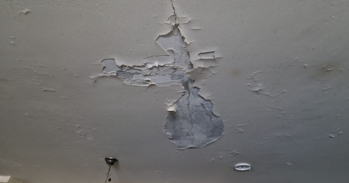 rats, cafards, humidité... La détresse d’une mère de quatre enfants dans un HLM