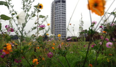 Mulhouse. Le promoteur en liquidation, le chantier de la tour Elithis arrêté