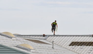 Hello Ketty. Les images décalées de la semaine dans l'objectif de notre photographe