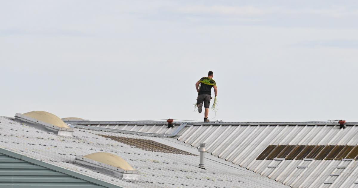 Hello Ketty. Les images décalées de la semaine dans l'objectif de notre photographe