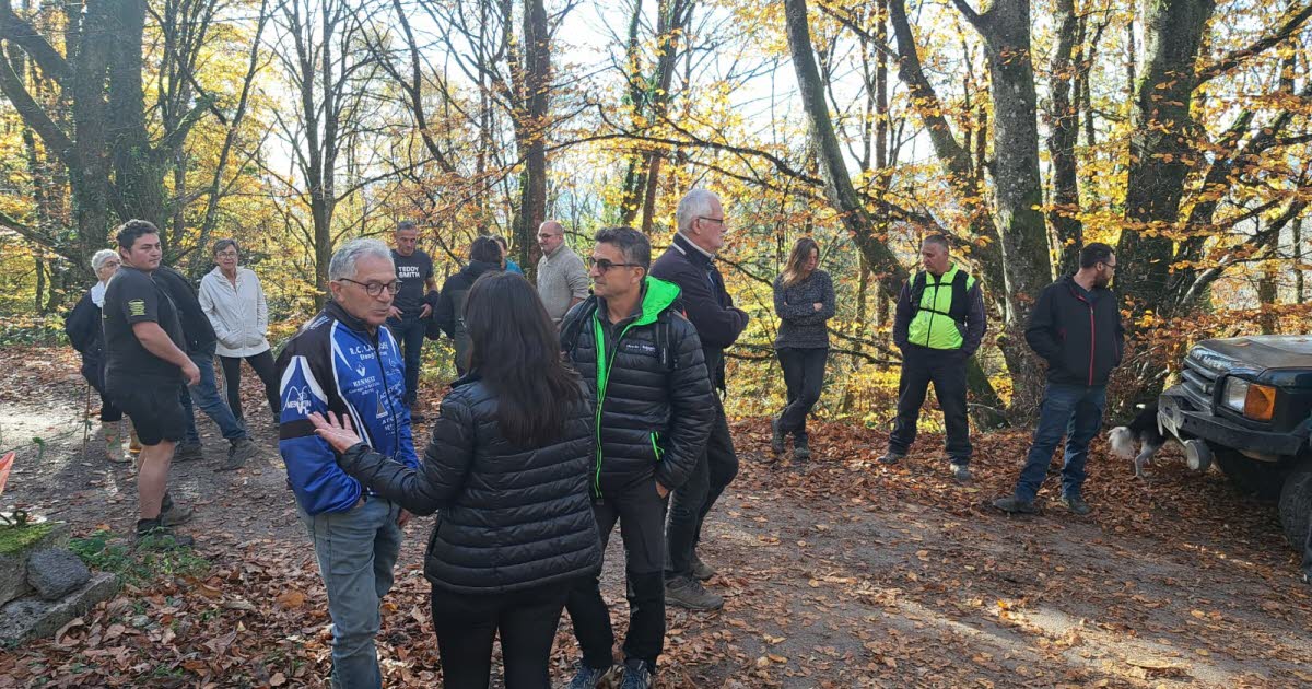 Faits divers. La septuagénaire disparue à Mesvres a été retrouvée