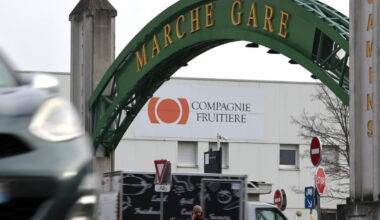 Strasbourg. Un nouvel attelage Samins-Sers pour piloter le Marché Gare, Rungis écarté