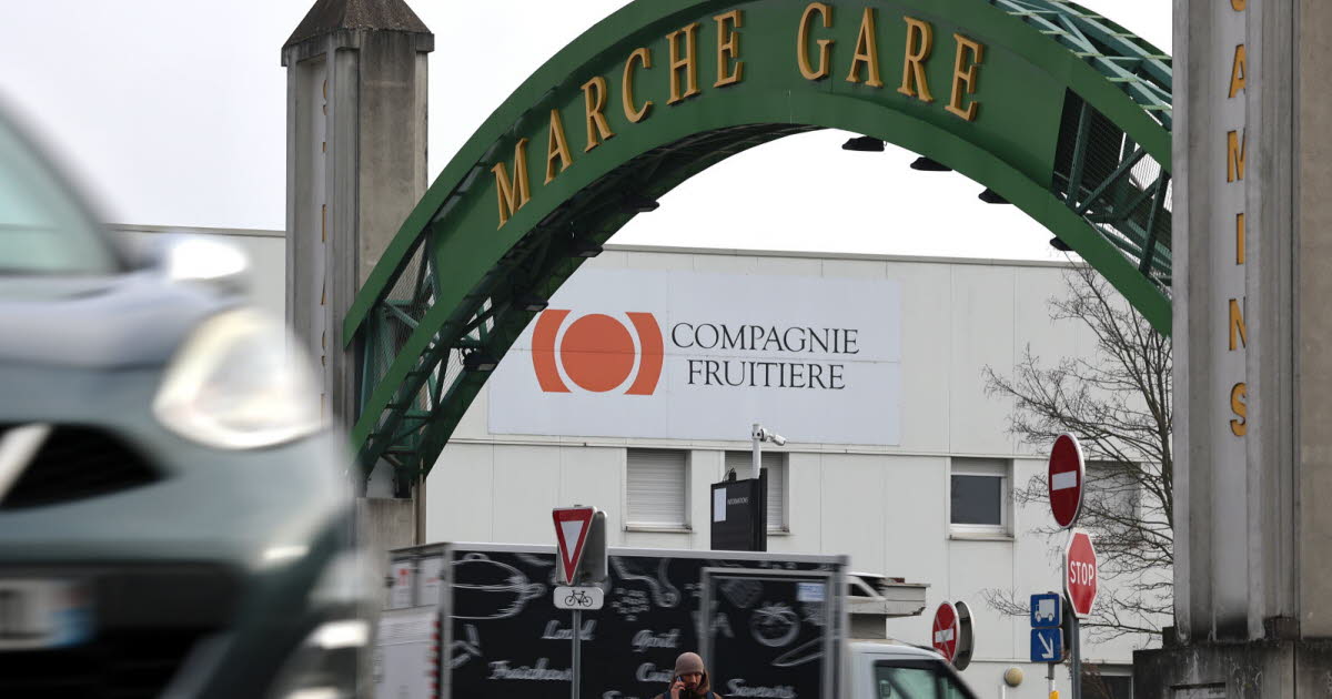 Strasbourg. Un nouvel attelage Samins-Sers pour piloter le Marché Gare, Rungis écarté