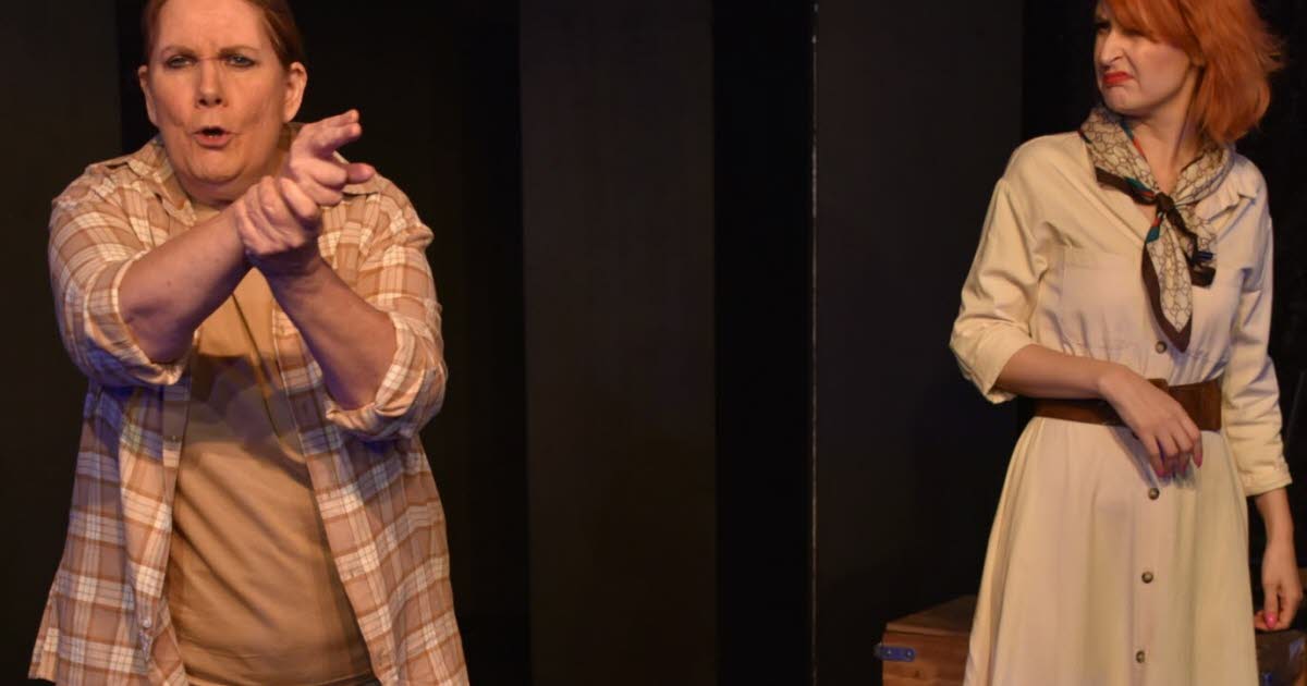 Villers-lès-Nancy. Jeu de scène une comédie grinçante à la Roële