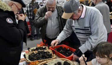 la qualité toujours au rendez-vous, des conseils pour la cuisiner
