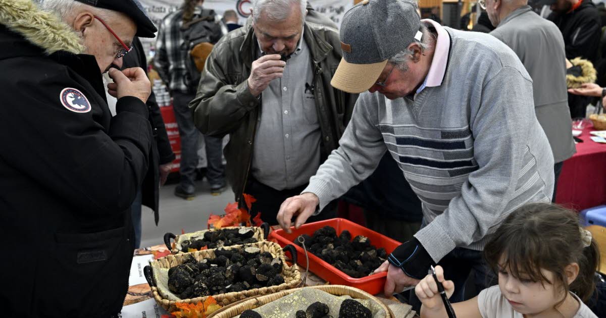 la qualité toujours au rendez-vous, des conseils pour la cuisiner