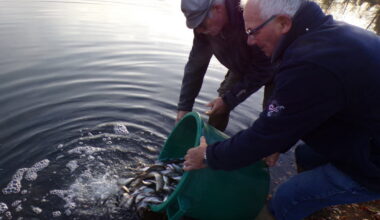 Toulon-sur-Arroux. L’Ablette lâche gardons et tanches