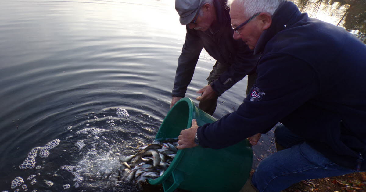 Toulon-sur-Arroux. L’Ablette lâche gardons et tanches