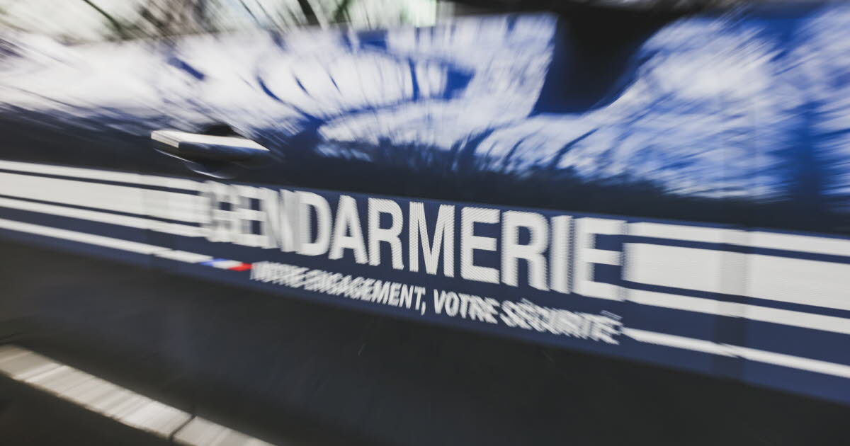 Métropole de Grenoble. Armé d’un pistolet, un déséquilibré interpellé dans le tramway