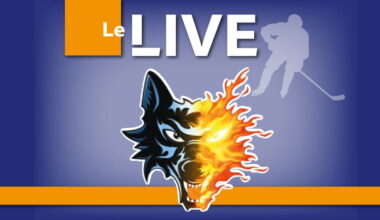 Hockey sur glace - CHL. Bagarre, exploits de gardien, des buts... revivez la défaite des Brûleurs de loups face à Frölunda