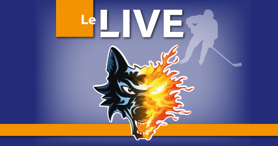 Hockey sur glace - CHL. Bagarre, exploits de gardien, des buts... revivez la défaite des Brûleurs de loups face à Frölunda