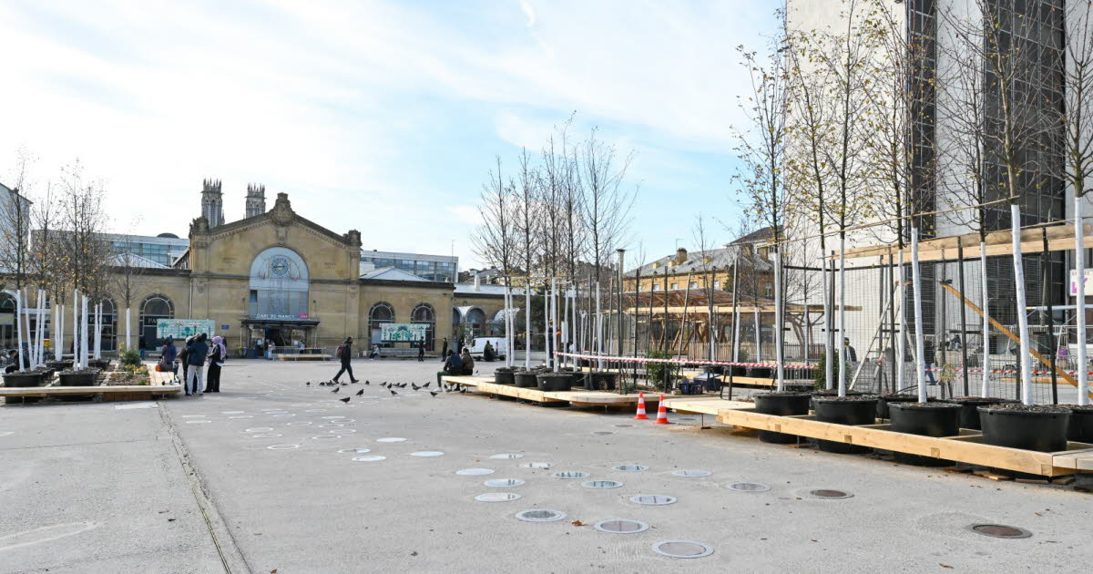 Photos. Du béton à la chlorophylle : la place Simone-Veil de Nancy respire à nouveau