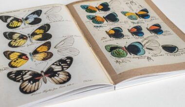 Krutenau. Le Musée zoologique et l’entomologie s’invitent à L’Oiseau rare