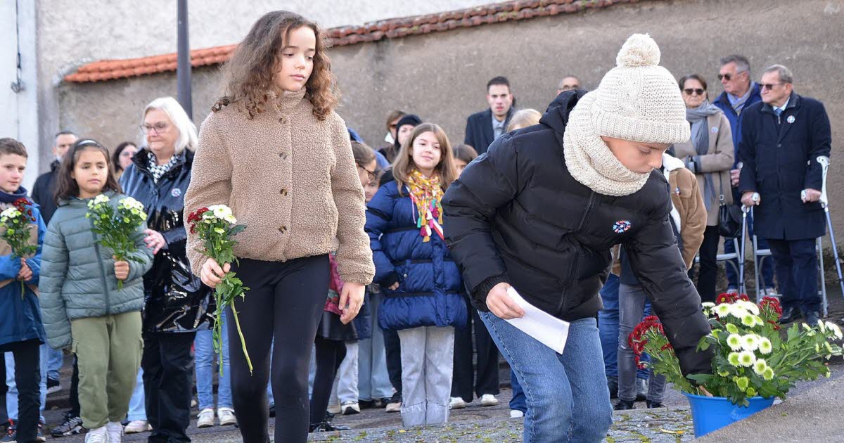 Photos. Les cérémonies du 11-Novembre dans la Métropole du Grand Nancy