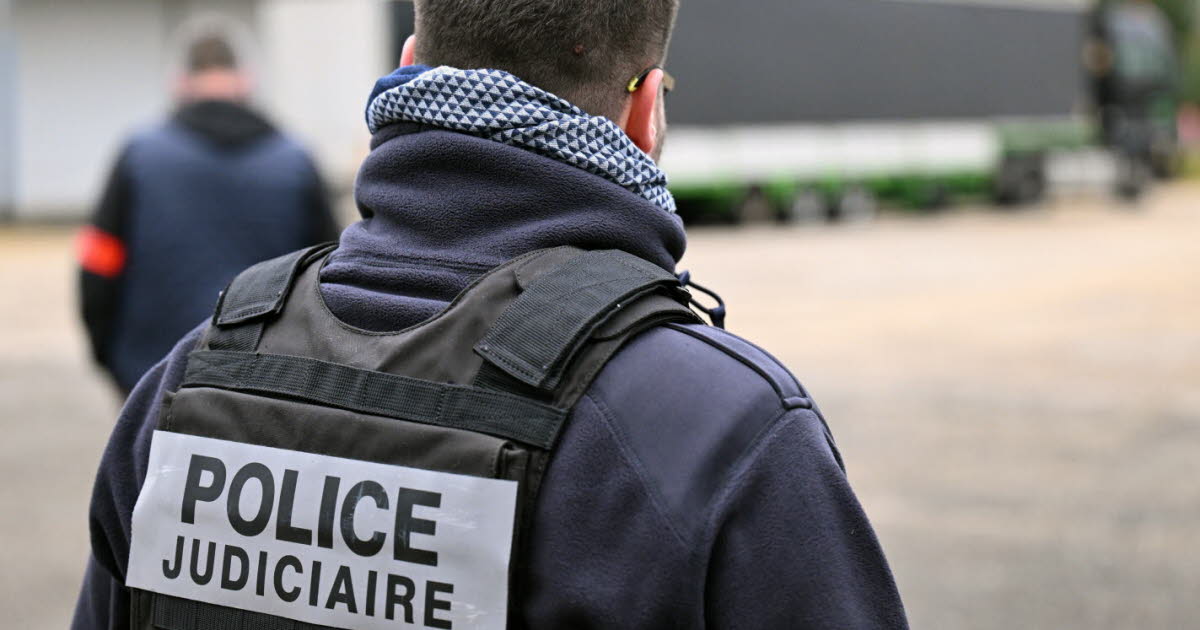 Loire. Près de 480 kilos de cannabis saisis : l'aboutissement d'un an d'enquête