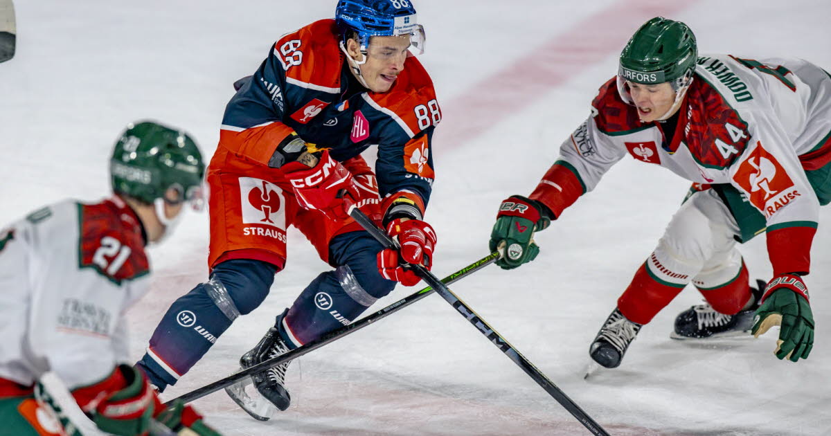 Hockey sur glace - CHL. Dernier tiers fatal aux Brûleurs de loups de Grenoble, qui passent tout proche de l’exploit contre Frölunda