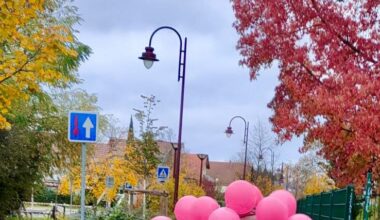Ostwald. Trois parcours au choix pour courir ou marcher contre le cancer à la Rose’Waldoise