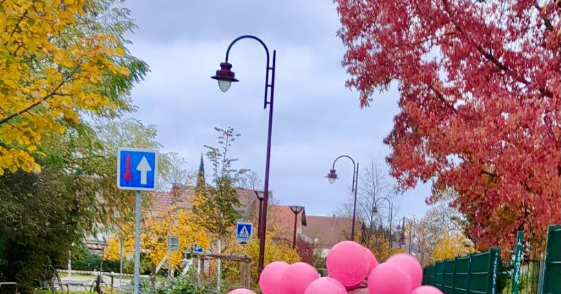 Ostwald. Trois parcours au choix pour courir ou marcher contre le cancer à la Rose’Waldoise