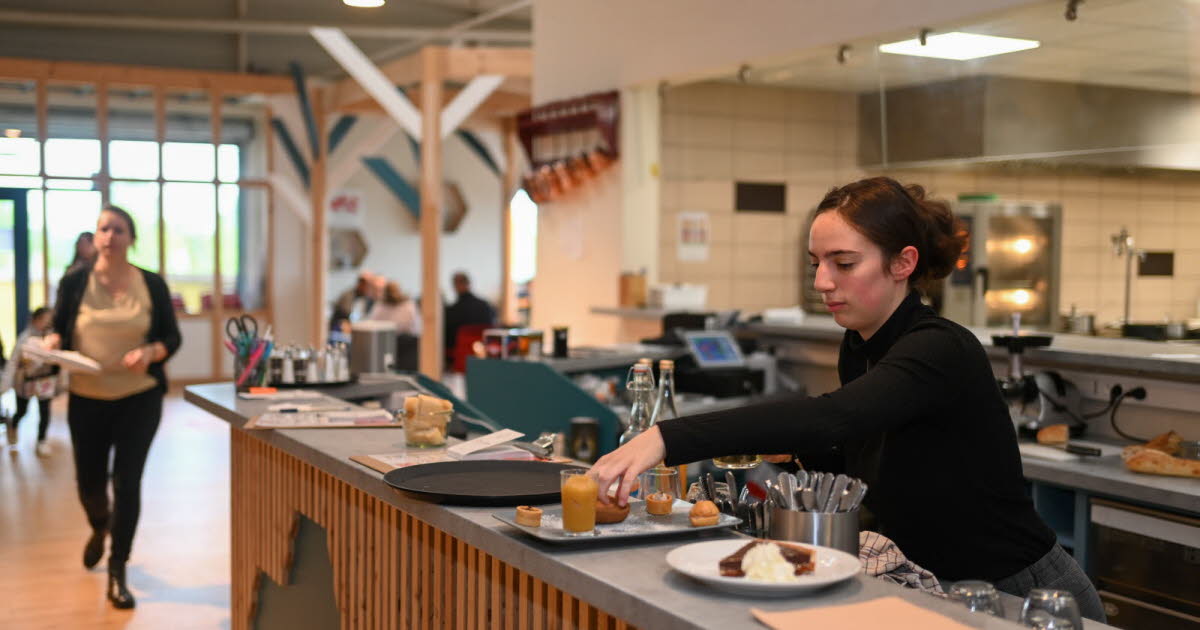 Verdun. Le Café Fauve et le P’tit Fauve fermés définitivement, le PDG de Valo’ s’explique