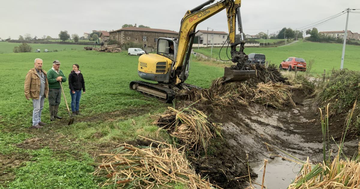 Saint-Chamond. « Elles sont essentielles pour le maintien de la biodiversité » : une 17e mare réhabilitée