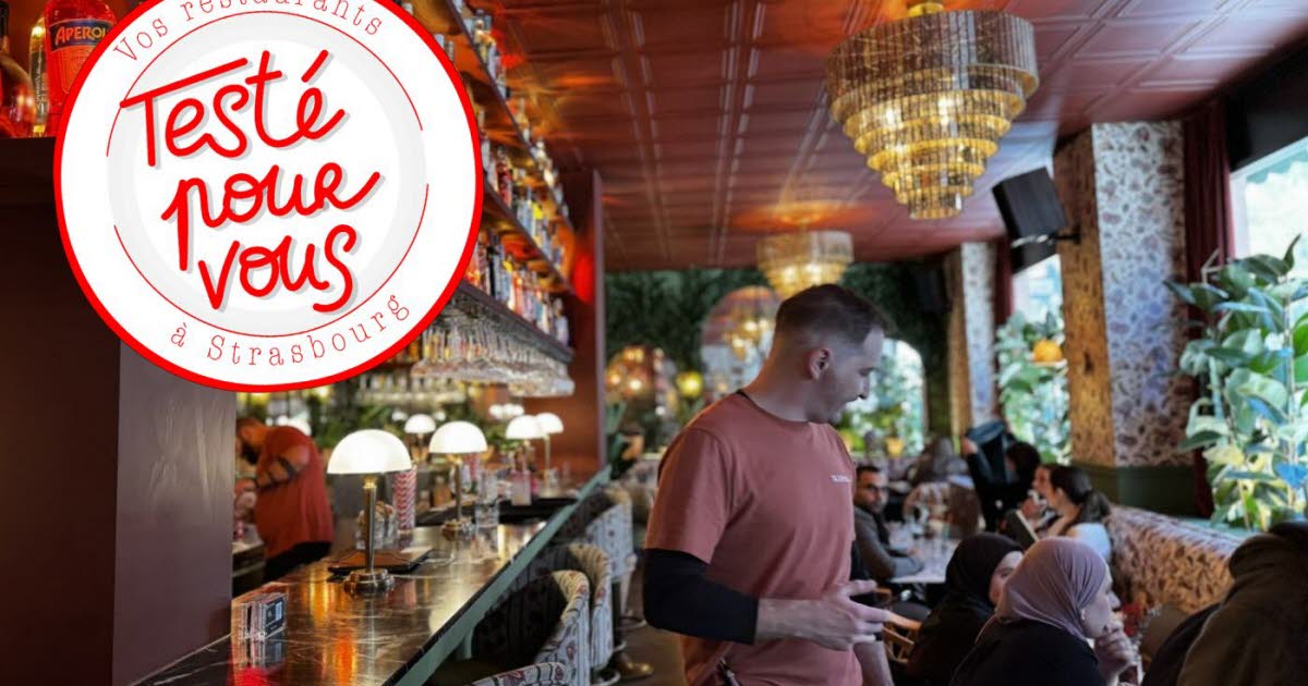 Strasbourg. On a testé pour vous le resto “Tigermilk” et sa superbe déco inspiré par l'Amérique latine