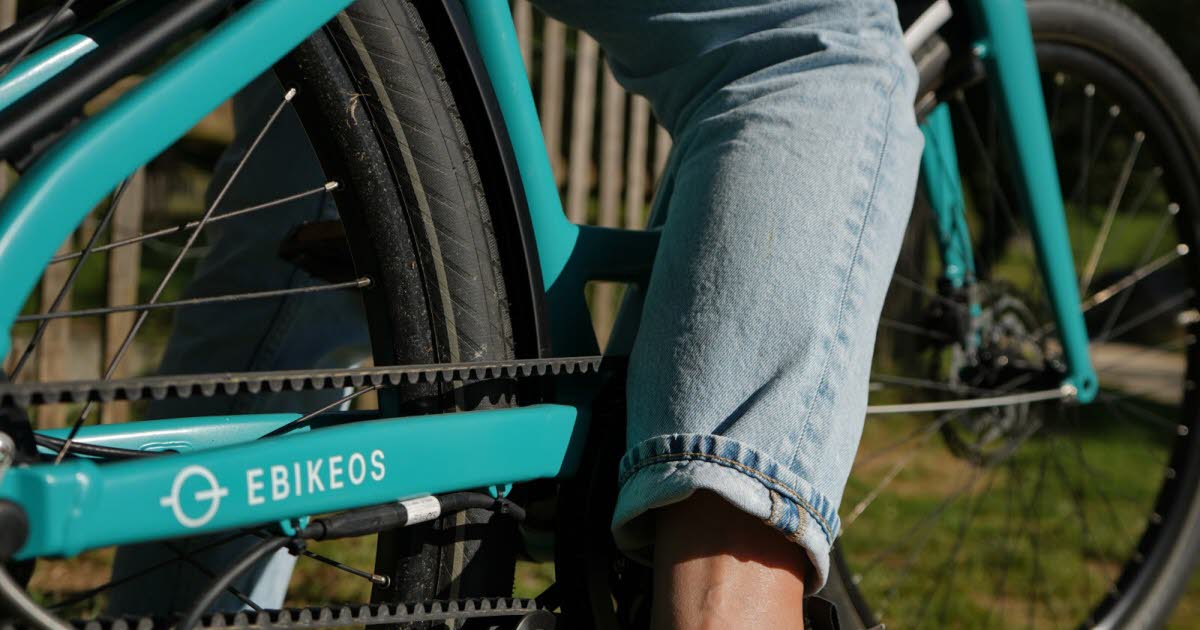 Grenoble. Un nouveau partenariat pour le spécialiste isérois du vélo électrique eBikeLabs