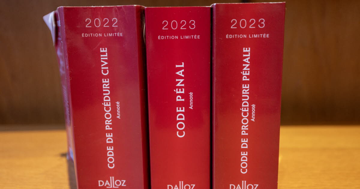 Malzéville. Poursuivi pour détention et diffusion d’images pédopornographiques, il jure être un justicier