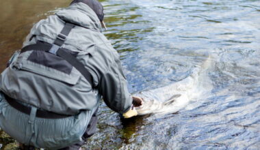 Loisir. Pacific Pêche Strasbourg, partenaire indispensable des pêcheurs alsaciens