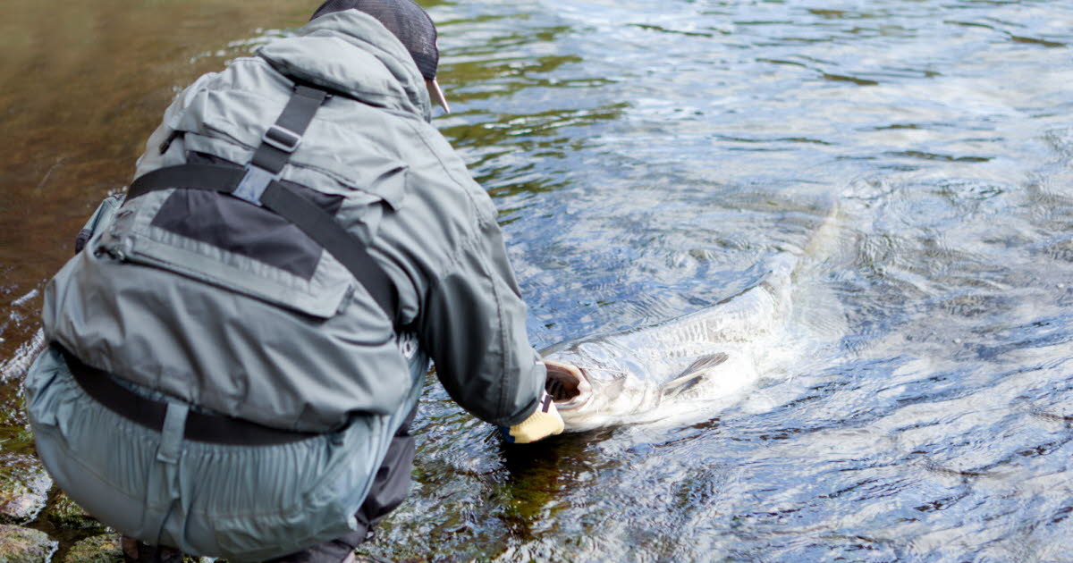 Loisir. Pacific Pêche Strasbourg, partenaire indispensable des pêcheurs alsaciens
