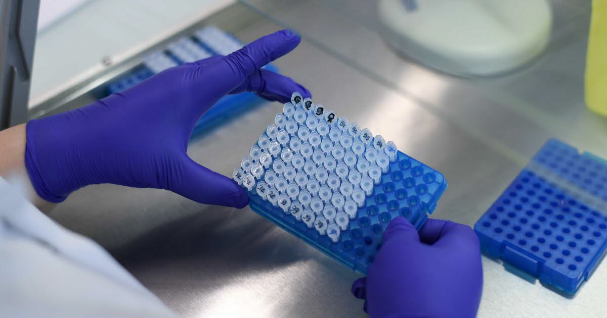 Isère. La fondation UGA se tourne vers le grand public pour financer la recherche contre la sarcoïdose