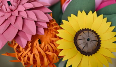 Hello Ketty. Les images décalées de la semaine dans l'objectif de notre photographe