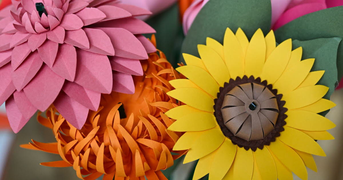 Hello Ketty. Les images décalées de la semaine dans l'objectif de notre photographe