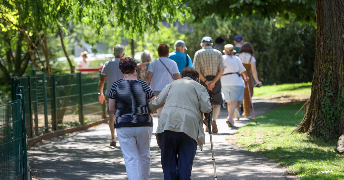 Meurthe-et-Moselle. Face au vieillissement de la population, les collectivités multiplient les initiatives pour répondre aux besoins des seniors