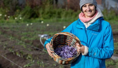 Alsace. Sur le toit d'un immeuble strasbourgeois, Anaïs Meyer cultive un safran 100 % local et écoresponsable
