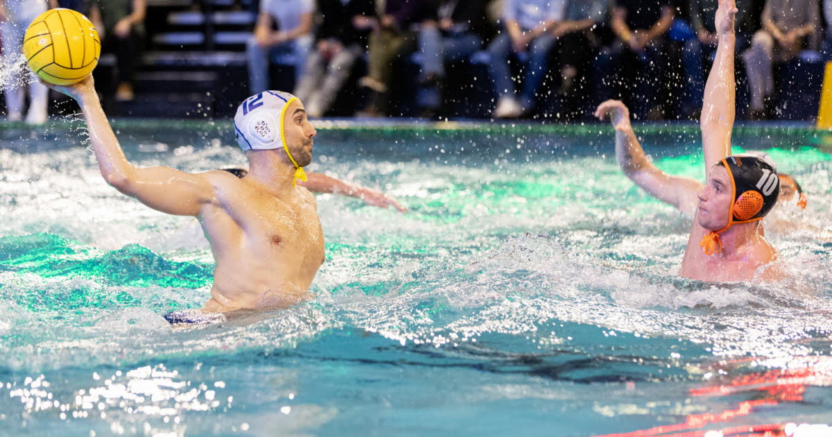 Water-polo. Le Team Strasbourg met des points au chaud pour l’hiver