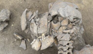 Alsace. Il y a plus de 6 000 ans, le massacre d’Achenheim, première guerre totale dans la région