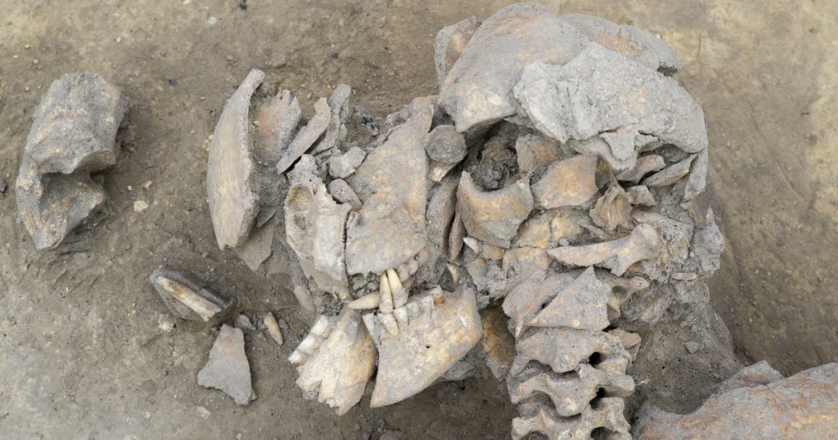 Alsace. Il y a plus de 6 000 ans, le massacre d’Achenheim, première guerre totale dans la région