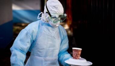 qu'est-ce que le virus de Marburg, dont une épidémie est déclarée ?