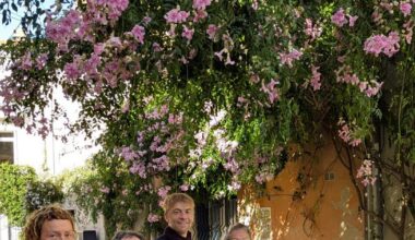 Hérault. À Montpellier, le micro-fleurissement a changé la vie des habitants d’un quartier