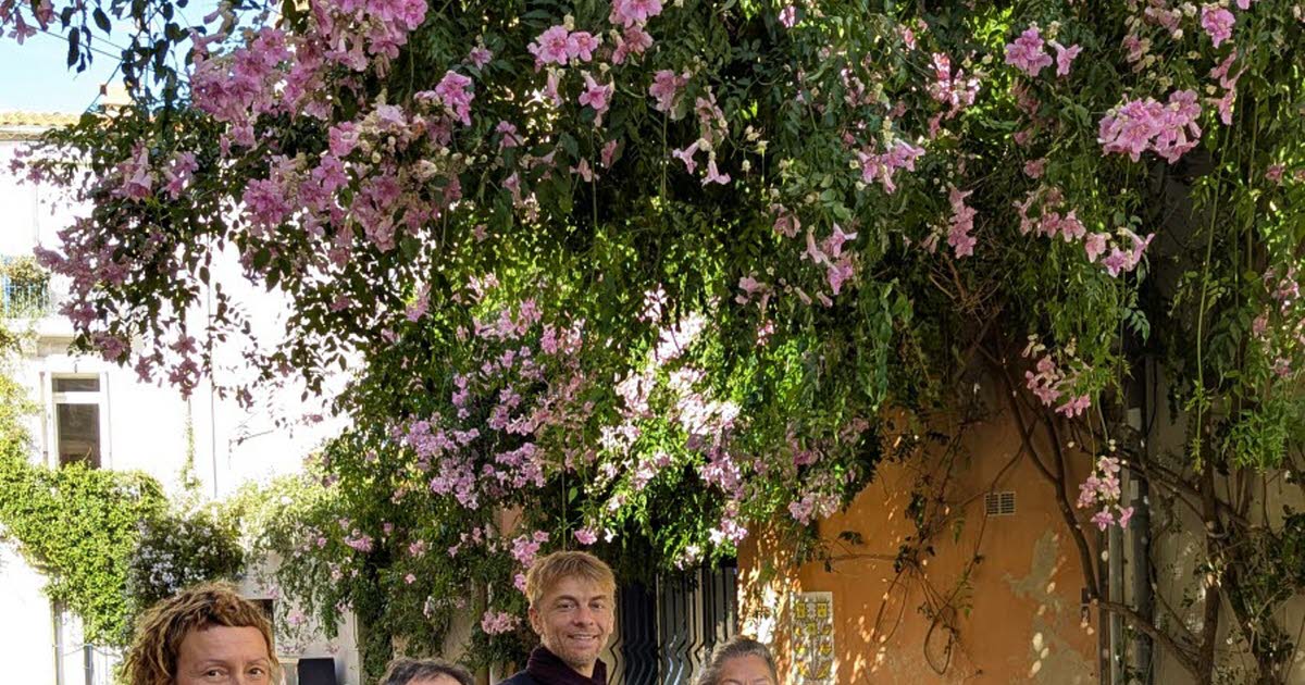 Hérault. À Montpellier, le micro-fleurissement a changé la vie des habitants d’un quartier