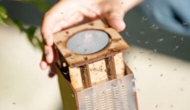 En quête de demain | Hérault. Lutte contre le moustique tigre : la stérilisation, nouvelle arme utilisée à Montpellier