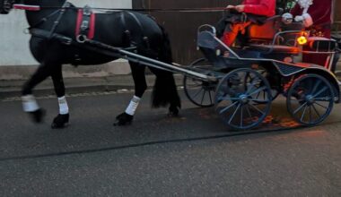 Nord de l’Eurométropole. Jingle bells, jingle bells ! Les marchés de Noël commencent ce week-end