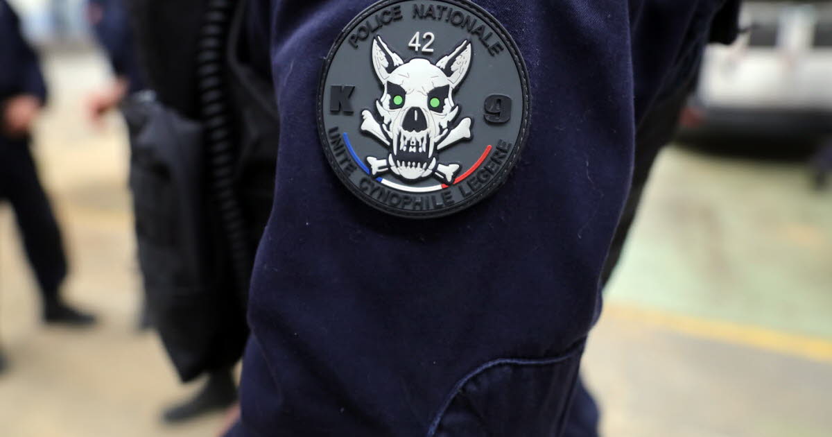 Saint-Etienne. Un quadragénaire interpellé au volant avec 1,34 g d’alcool dans le sang mais sans permis ni assurance