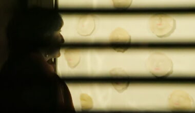 Strasbourg. Une exposition lunaire d'Inès Kubler au Petit cabinet du pont de Pierre