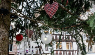 Strasbourg. Dans le grand sapin, une boule scintille en hommage à une cycliste décédée en 1996